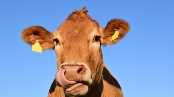 Articles avec le Mot clef : « ALaUne »